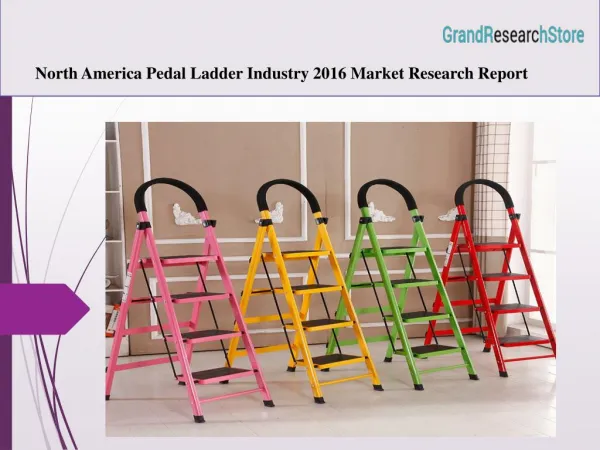 North America Pedal Ladder Industry 2016 Market Research Report