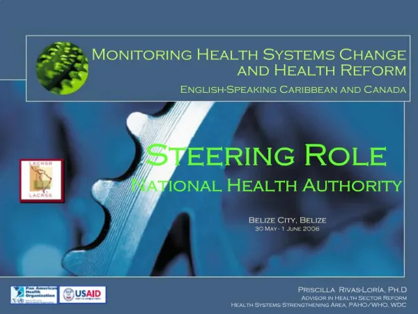 Steering Role National Health Authority