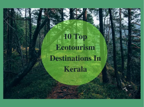 10 Top Ecotourism Destinations In Kerala