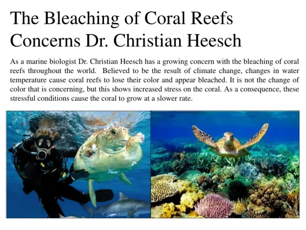 The bleaching of coral reefs concerns dr christian heesch