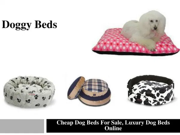 Doggy Beds - Popular Dog Beds Online
