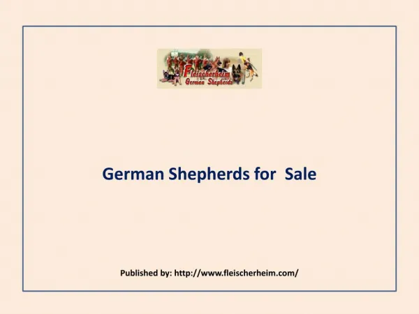 Fleischerheim German Shepherd