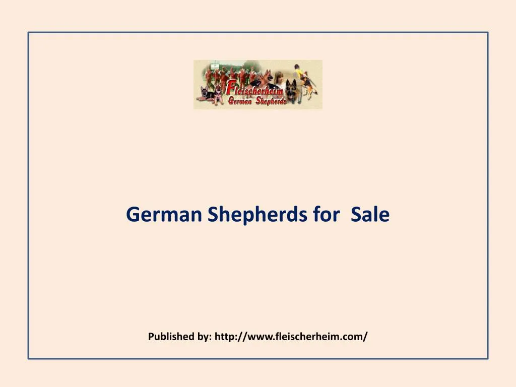 german shepherds for sale published by http www fleischerheim com