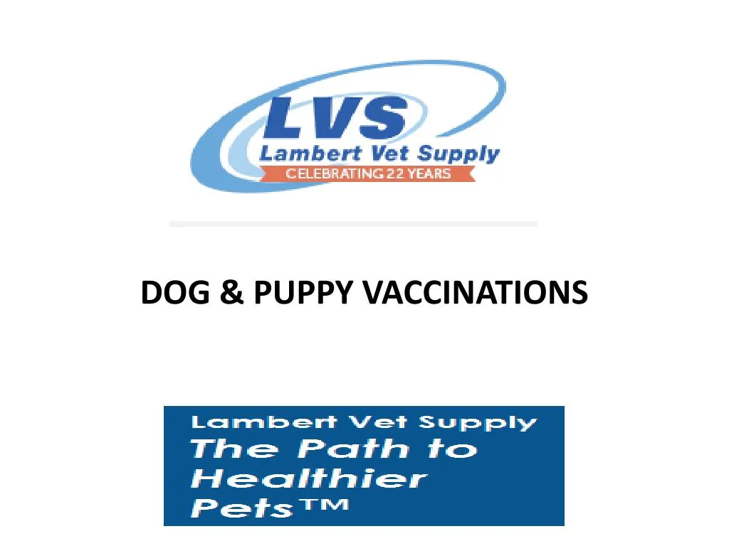 dog puppy vaccinations