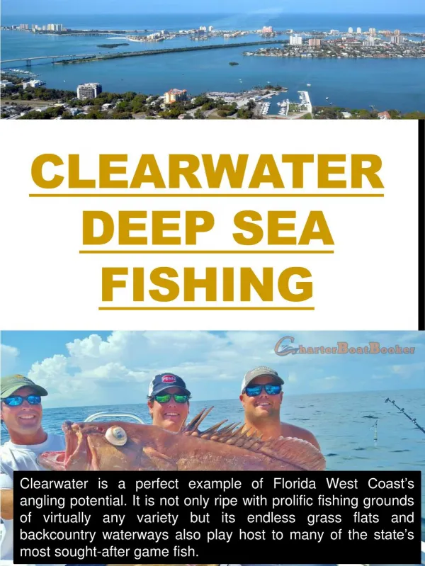 Fishing In Clearwater