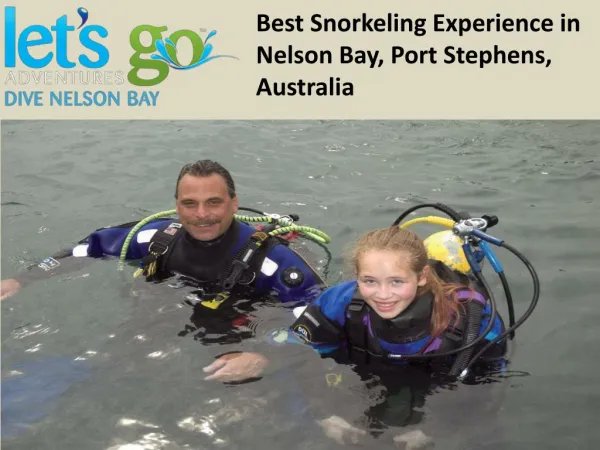 Best Snorkeling Experience in Nelson Bay, Port Stephens, Australia