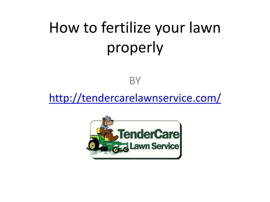 how to fertilize your lawn properly