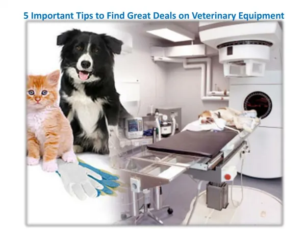 5 Important Tips to Find Great Deals on Veterinary Equipment