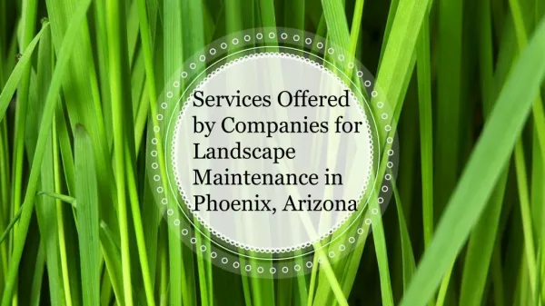 Services Offered By Companies for Landscape Maintenance in Phoenix Arizona