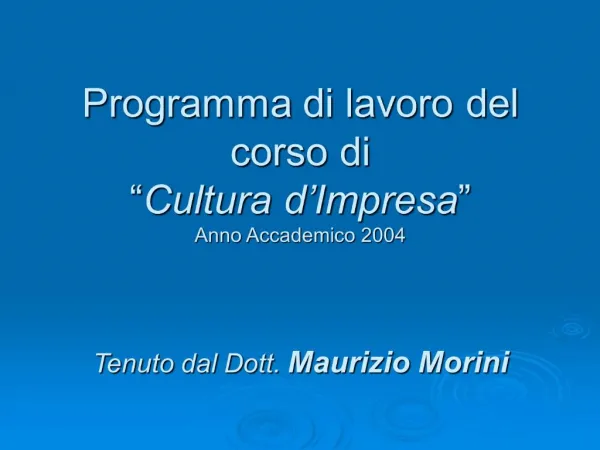 Programma di lavoro del corso di Cultura d Impresa Anno Accademico 2004 Tenuto dal Dott. Maurizio Morini