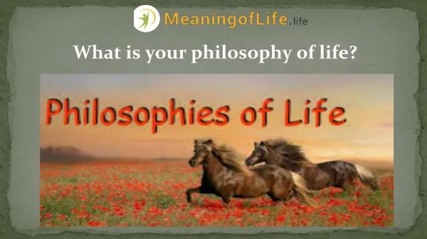 What is your philosophy of life