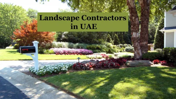 Landscape Designers Services in Dubai