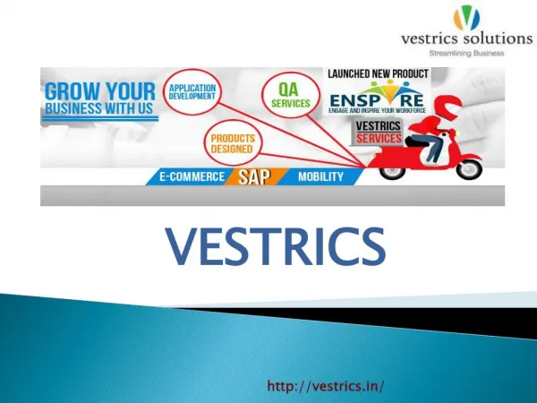 Ecommerce Solution Integration with SAP-Vestrics