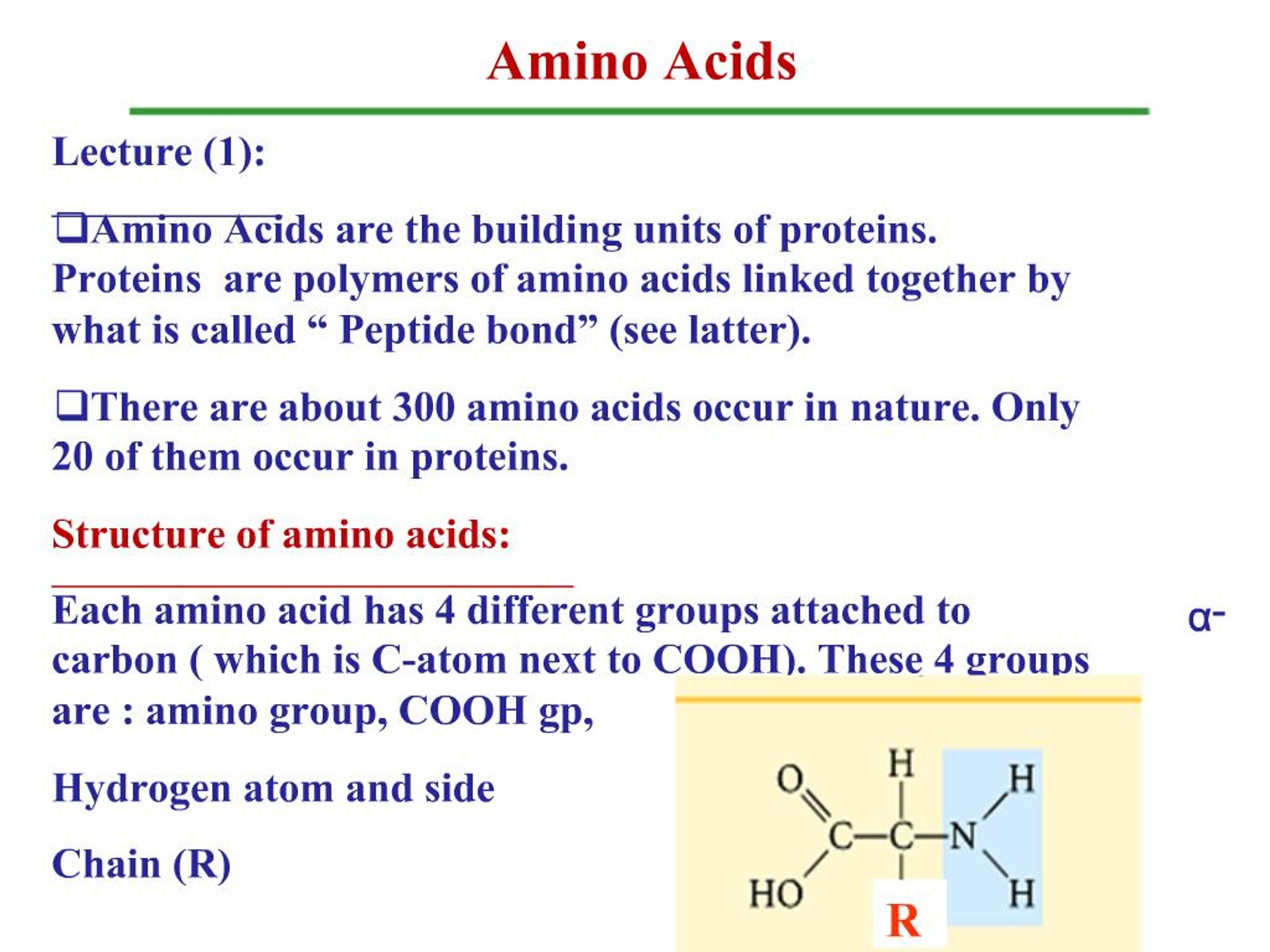 PPT - Amino Acids PowerPoint Presentation, free download - ID:743100