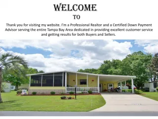 Homes for sale in wesley chapel fl