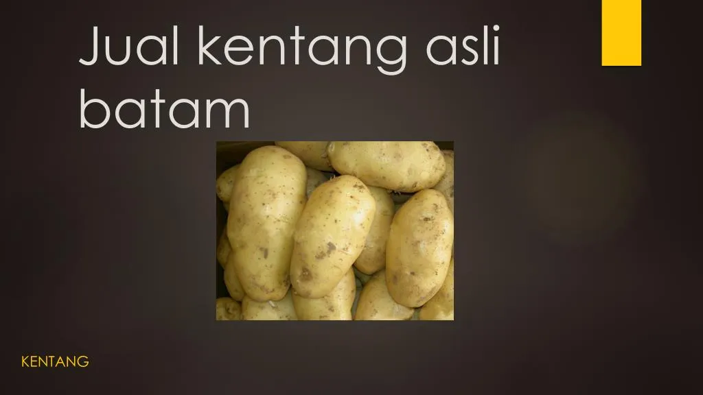 jual kentang asli batam
