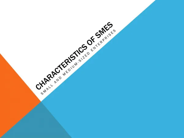 Characteristics Of SMEs