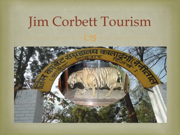 Book Jim corbett tour packages
