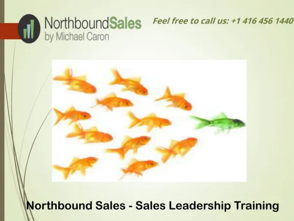 Northbound Sales - Sales Leadership Training