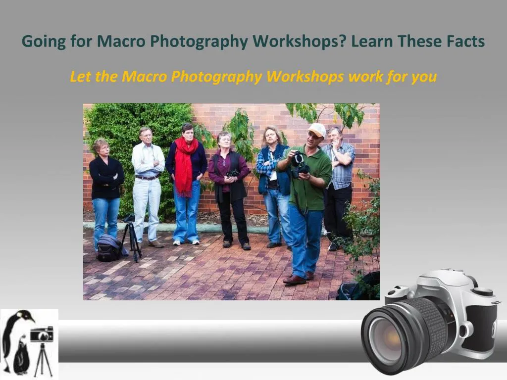 going for macro photography workshops learn these facts