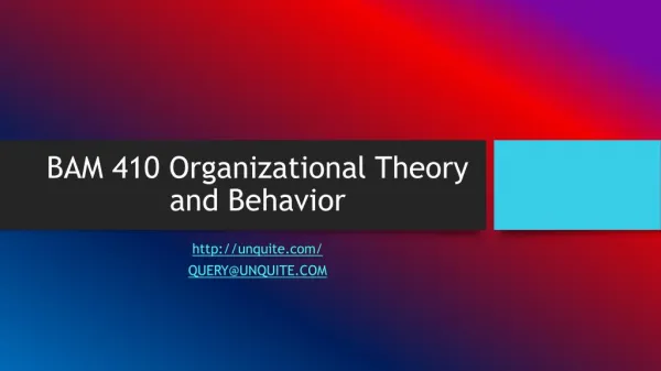 BAM 410 Organizational Theory and Behavior