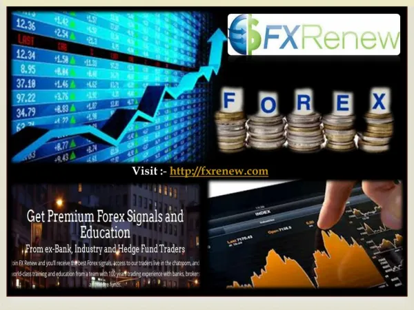 Forex Trading Signals and Forex Trading Course