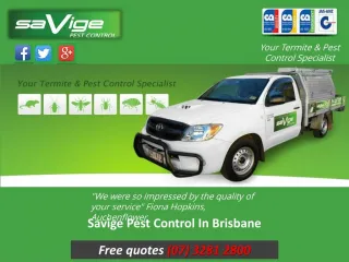 Savige Pest Control In Brisbane - slide 1