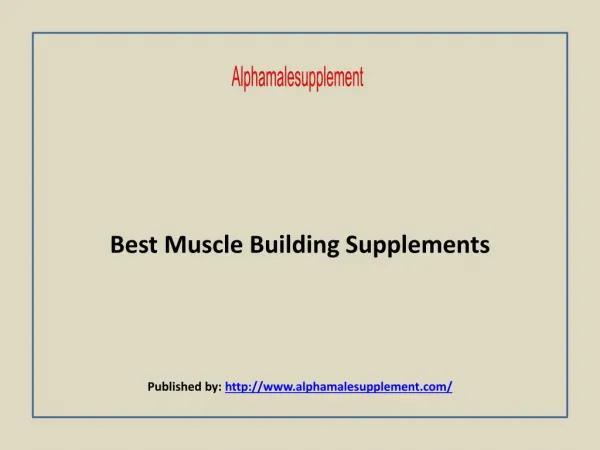 Best Muscle Building Supplements