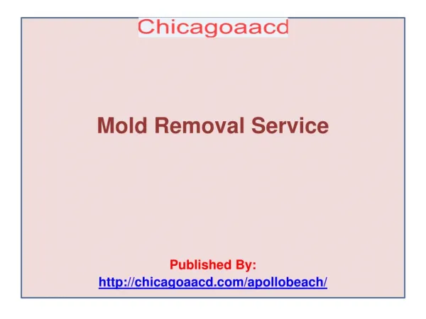Chicagoaacd-Mold Removal Service