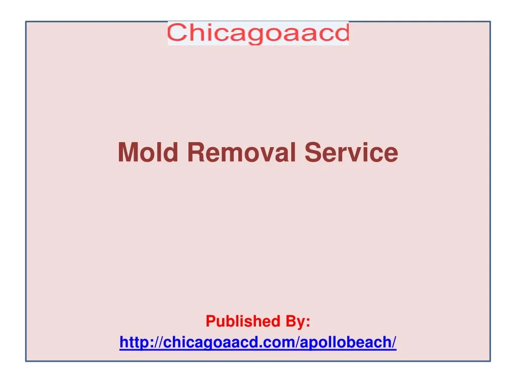 mold removal service published by http chicagoaacd com apollobeach