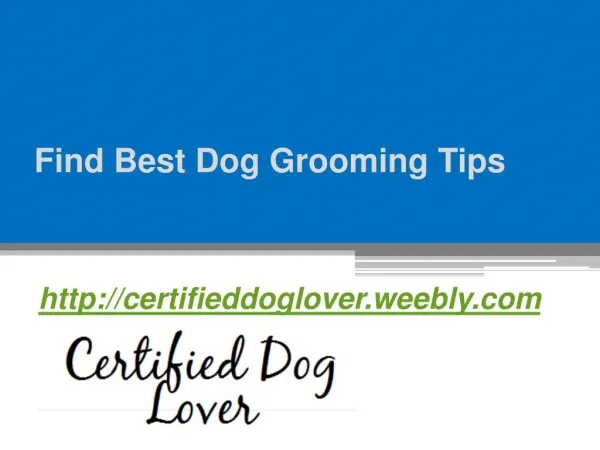 Find Best Dog Grooming Tips - Certifieddoglover.weebly.com