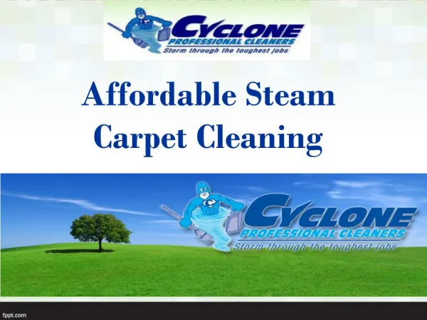 Affordable Steam Carpet Cleaning