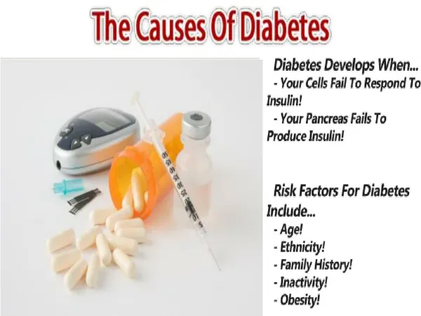 The Diabetes Solution Book | Diabetes Solution