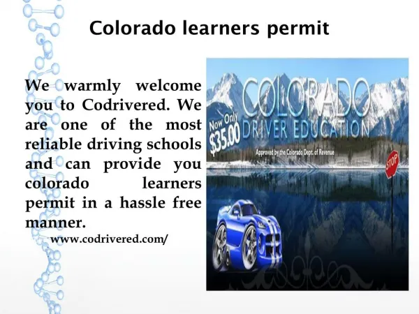 Colorado learners permit