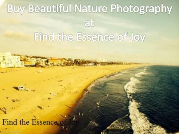 Buy Beautiful Nature Photography at Find the Essence of Joy
