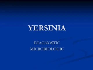 YERSINIA - slide 1