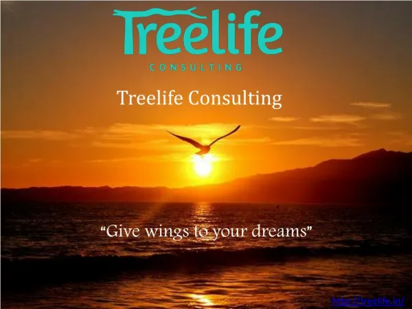 Treelife Consulting - One-Stop-Solution for Every Emerging Business