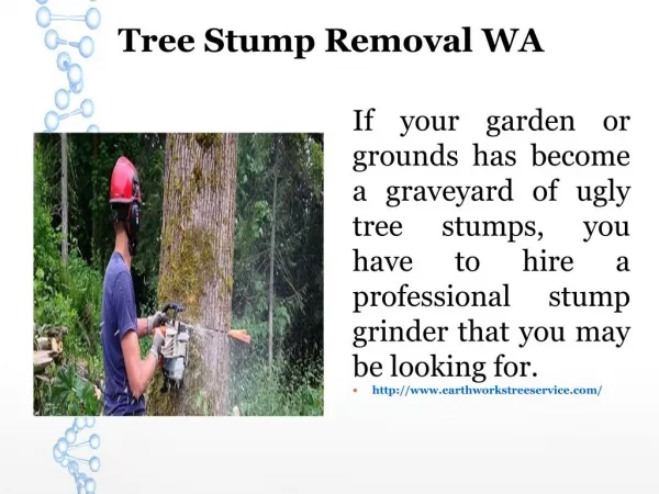 Tree Stump Removal WA
