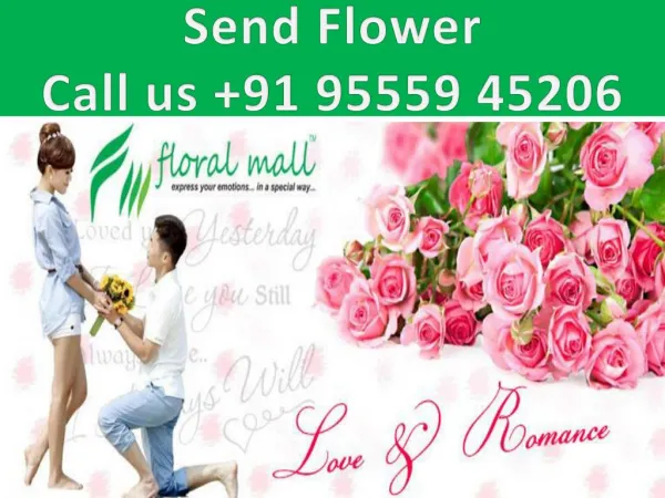 Send flower online 9555945206