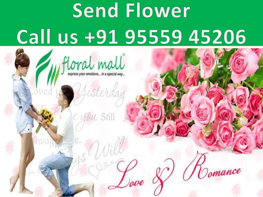 send flower call us 91 95559 45206