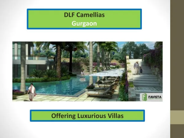 DLF Camellias Price List