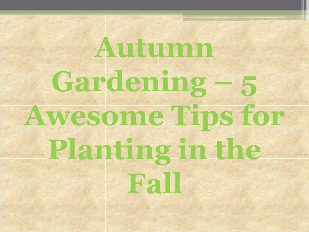 autumn gardening 5 awesome tips for planting in the fall