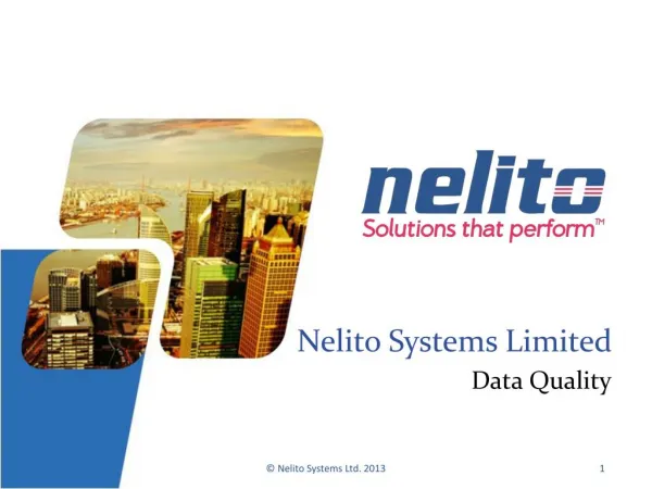 Nelito Systems Limited Data Quality