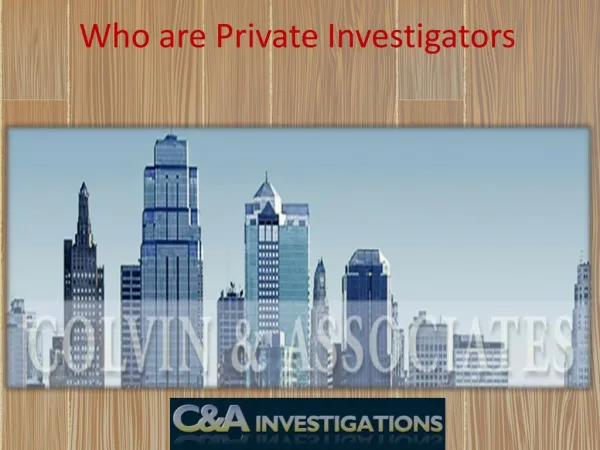 Who are Private Investigators