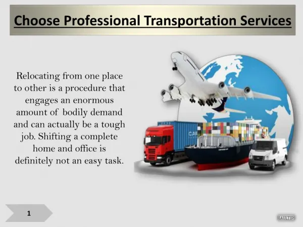 Choose Professional Transportation Services