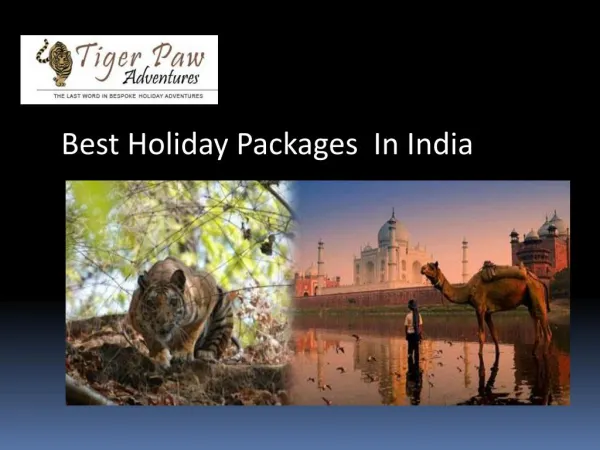 Best Holiday Packages In India
