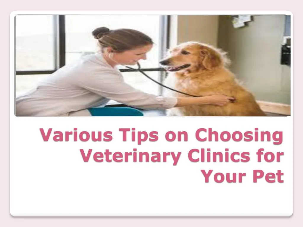 various tips on choosing veterinary clinics for your pet