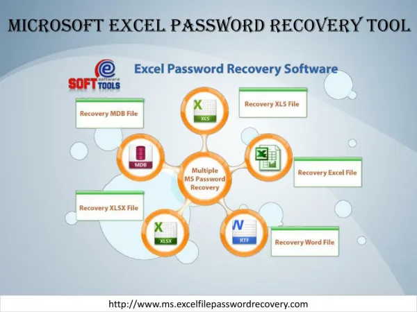 Microsoft Excel password recovery tool