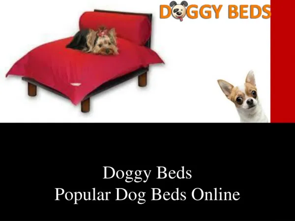 Doggy Beds- Importance of Dog Beds