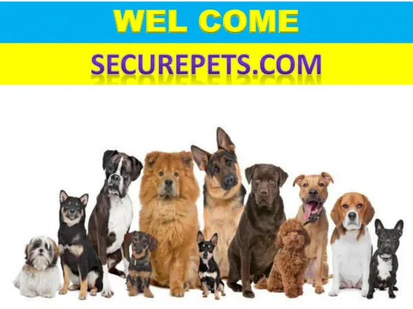 Shop for the best dog house with air conditioner at Securepets.com
